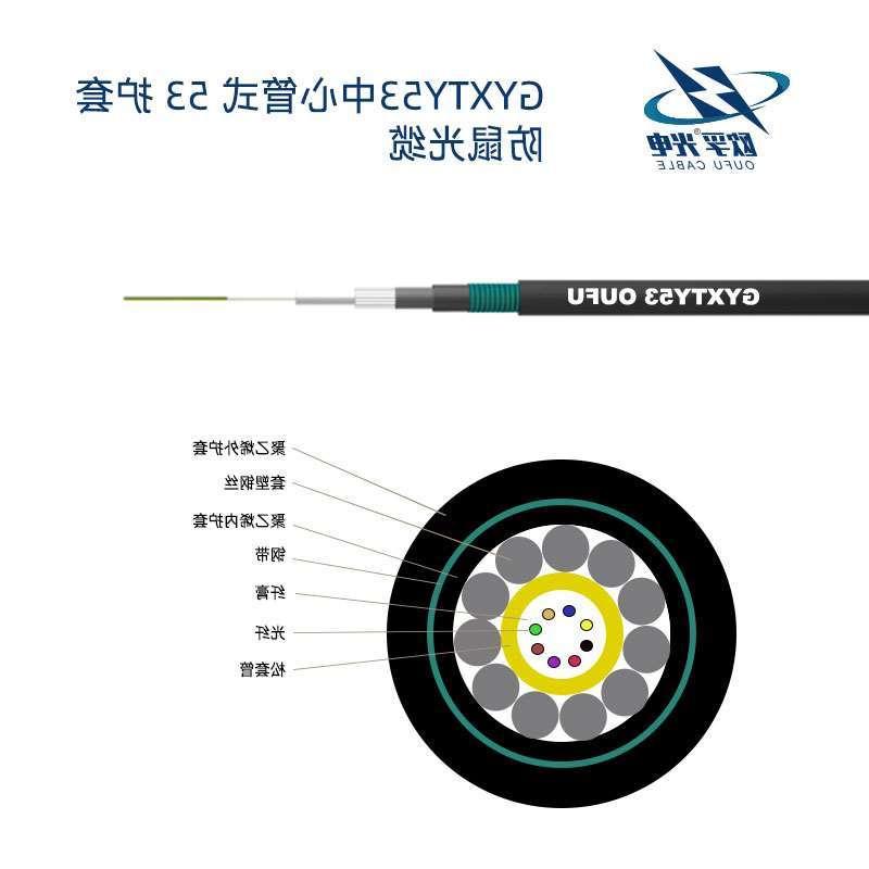 保定市GYXTY53光缆