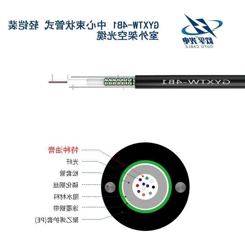 双鸭山市GYXTW光缆