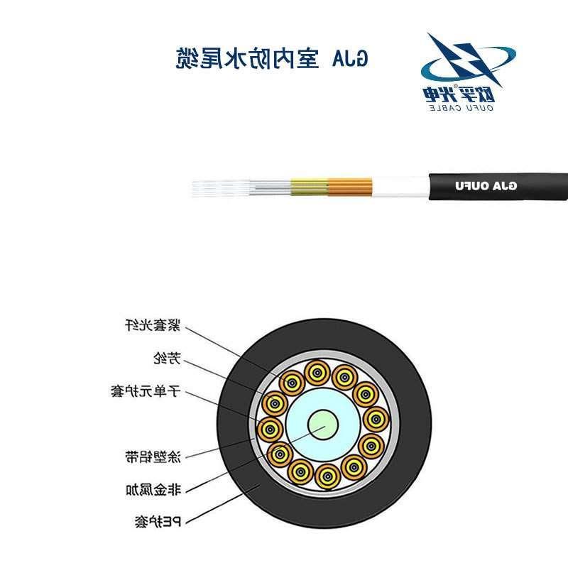 保定市GJA防水尾缆