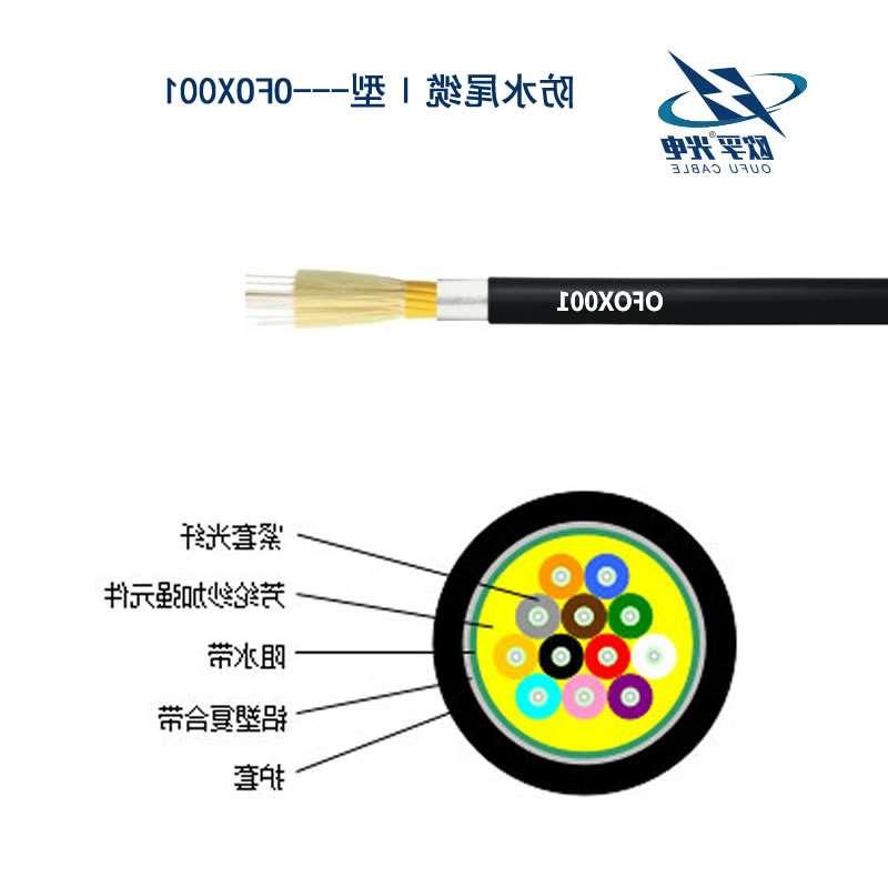 红桥区防水尾缆Ⅰ型