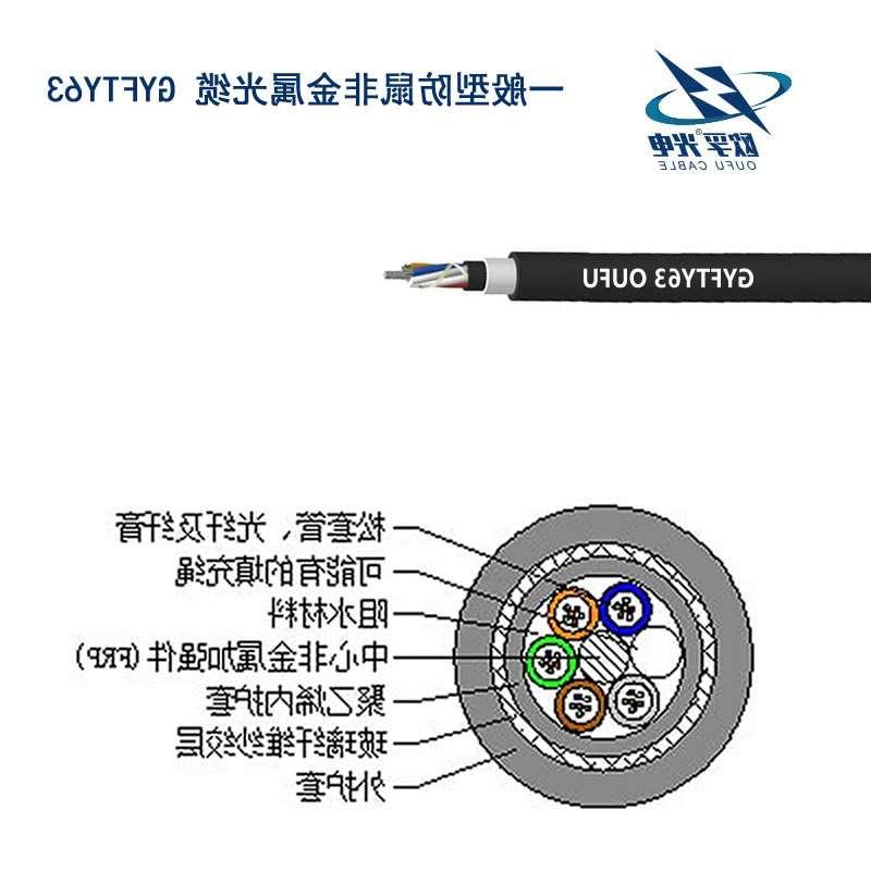 枣庄市防鼠咬GYFTY63光缆